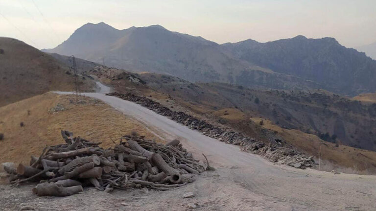 Behdinan Region in South Kurdistan: Thousands of Trees Cut Down by Turkish Army
